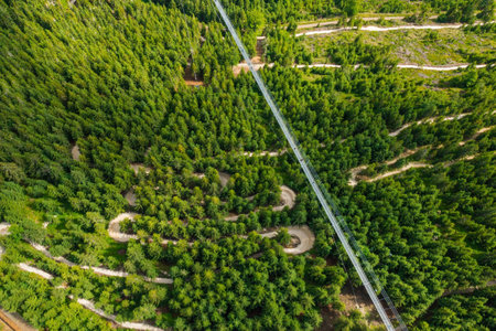 Top view of a Sky Bridge 721 in Dolni Morava in Czech Republic. The longest suspension footbridge in...
