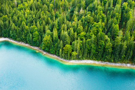 Riverside with tall pine trees and turquoise water, aerial view.の写真素材