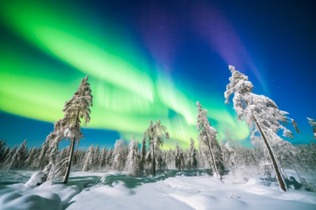 Aurora borealis, Generative AI.の素材