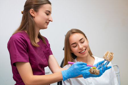 A dental hygienist provides a practical demonstration to a young woman on the proper technique for cleaning teethの写真素材