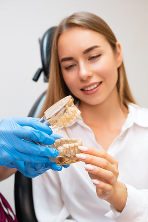 A dentist, gloved and prepared, holds a human jaw model to elucidate a treatment approach to a patientの写真素材
