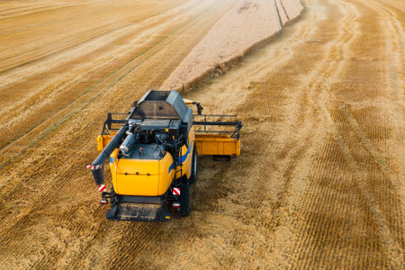 Yellow combine harvester gathers wheat with cutter bar in field aerial view. Farm machine harvests cereals crop at countryside. Rural lifeの写真素材