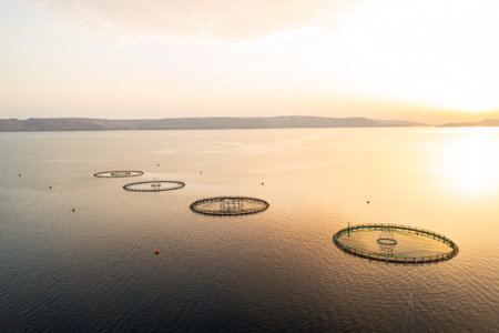 The tranquil waters of a lake host a circular fish farming facility during sunsetの写真素材