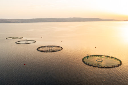 Circular fish farming enclosures float on a calm sea as the sun sets behind the mountainsの写真素材