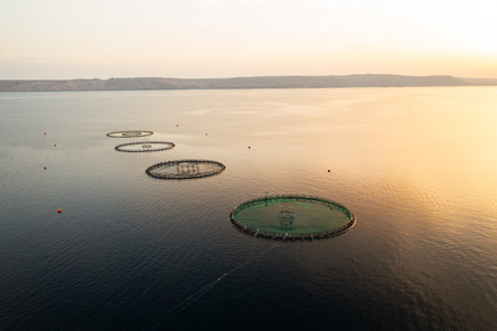 Sunset view of circular fish farming structures on the tranquil water in a coastal area.の写真素材