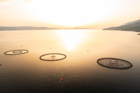 Sunset view of a fish farm with circular nets in calm waters at the coastline.の写真素材