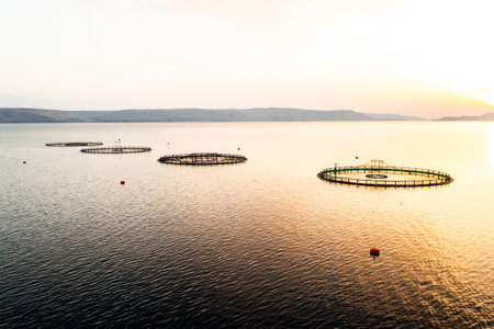 Croatian fish farm infrastructure in Adriatic Sea aerial view. Demonstration of innovative techniques used to ensure sustainable fish breedingの写真素材