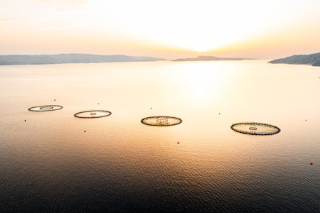 Modern fish breeding in Croatia sea farms at sunset drone. Secure environments for optimal fish breeding and growing marine speciesの写真素材