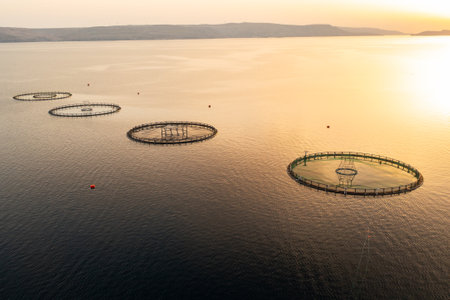 Fish farming operations in Croatia coastal waters aerial view. Croatian fish farm featuring multiple circular net enclosures set in Adriatic Seaの写真素材