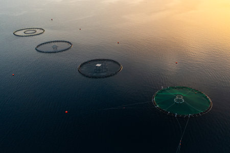 Well-structured Croatian fish farm with round net enclosures. Innovative fish farming infrastructure featuring secure cages functionの写真素材