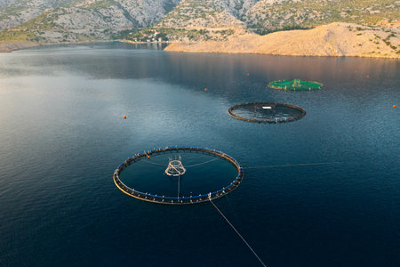 Fish farm with circular nets in a tranquil water body surrounded by hills during sunset.の写真素材