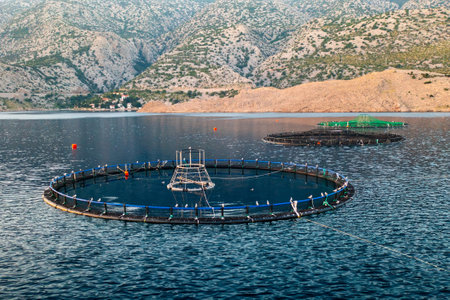Fish farm with circular nets in calm water surrounded by mountains and lush greenery.の写真素材