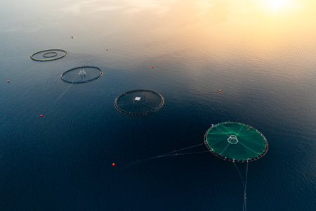 Fish farming Infrastructure in Croatia marine environment. Sustainable fish breeding practices with net enclosures with minimal environmental impactの写真素材