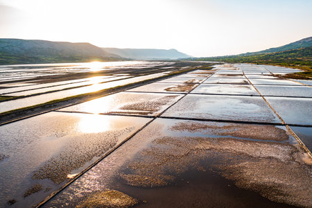 Sunrise over salt pans reflecting golden light in serene landscapeの写真素材
