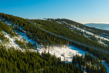 Sky Bridge 721, the longest suspension footbridge between two hills, stretching over a forest...