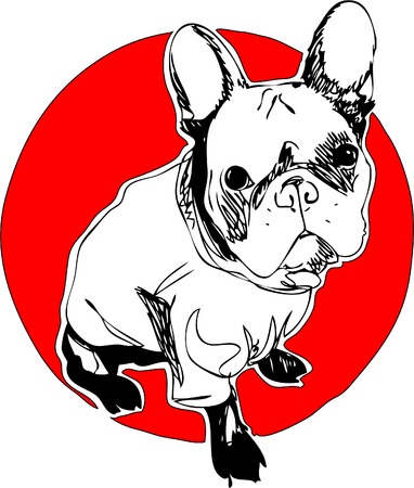 Illustration. french buuldog. One line designのイラスト素材