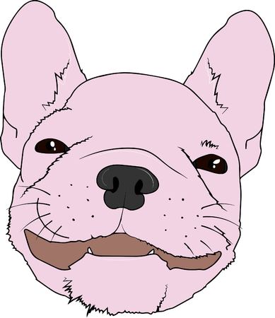 vector illustration. french bulldogのイラスト素材