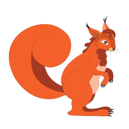 The red squirrel.のイラスト素材