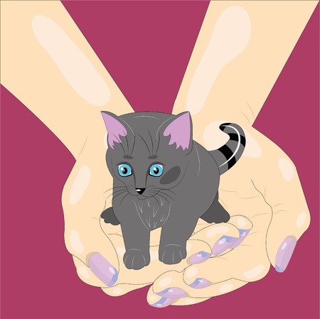 Kitten in palms.  illustration. vector.のイラスト素材