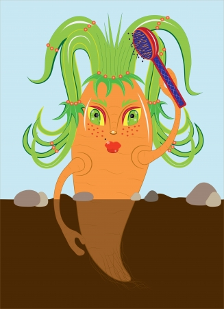 Carrots comb hair  Illustration  Vector のイラスト素材