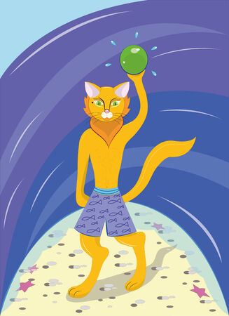 Cat on a beach Illustrationsのイラスト素材