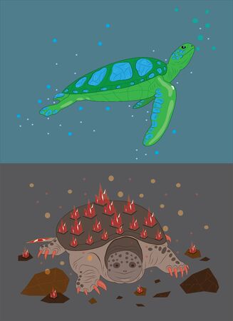 Sea turtle turquoise and kaymanovy turtle ruby.のイラスト素材