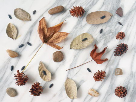Autumn composition. Background made of pine cones, dry leaves, pebbles and flowers.の写真素材
