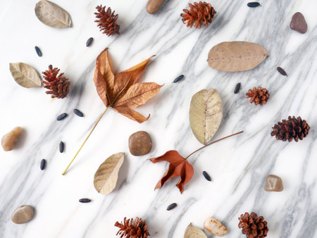 Autumn composition. Background made of pine cones, dry leaves, pebbles and flowers.の写真素材