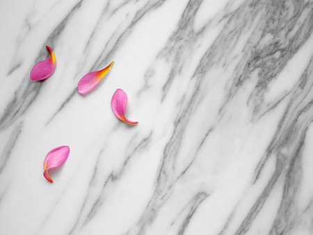 Flowers and petals on a white marble backgroundの写真素材
