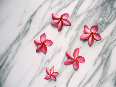 Flowers and petals on a white marble backgroundの写真素材