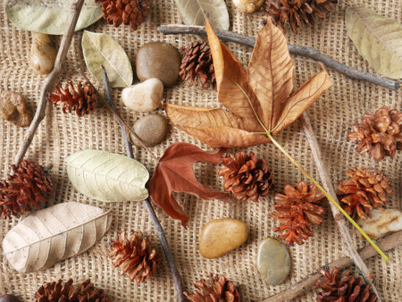 Autumn composition on a sackcloth background, made of pine cones, dry leaves, pebbles and flowers.