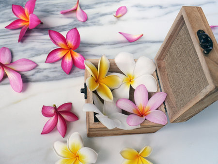 Set of flowers coming out of a wooden open box. top viewの写真素材