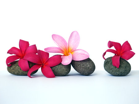Zen pebbles and spa flowers. Stone spa and healthcare concept.の写真素材