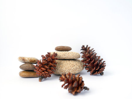 Natural autumn composition with pebbles and pine cones.