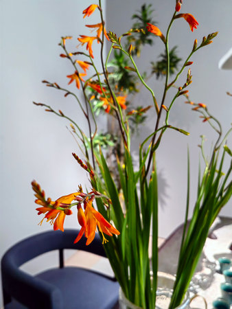 A beautiful flower with natural light color, luxury flower for screen wallpaper. Rose, Dahlia and other flowers are full of bright flower.の写真素材