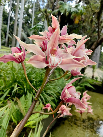The beauty of blooming tropical flowers with vibrant colorful petals.