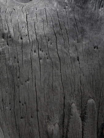 Dark wood texture background. Vintage old black hardwood boards. Charcoal timber quality high. Pattern wood grain material polished. Wooden floor detailed photo.の写真素材