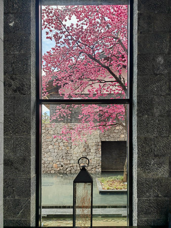 Selective focus of beautiful branches of pink Cherry blossoms on the tree under blue sky, Beautiful cherry flowers during spring season in the park, Flora pattern texture, Nature floral background.の写真素材