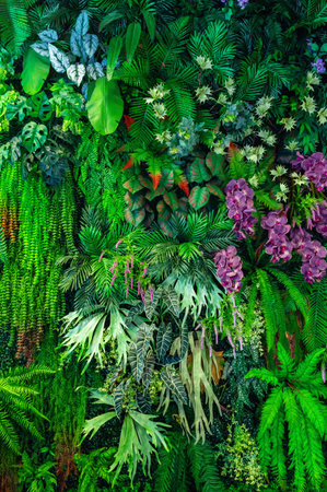 green leaf background texture backgroundの写真素材