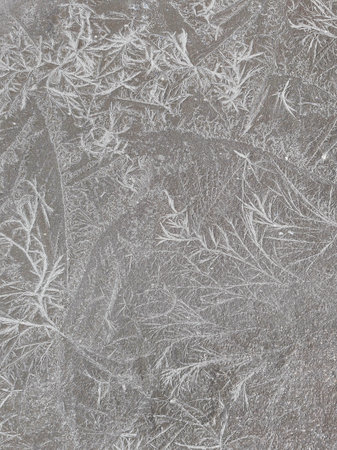 Traces or textures on sandy soil reminds of small natural organisms or plants.