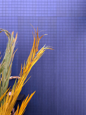 Blue wooden as a background with home decoration elements made of glass, plants, metal and stones.の写真素材