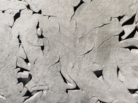 An abstract ceramic sculpture with multiple layers of twisted clay appearing to flow and intertwine seamlessly.の写真素材