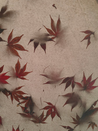 Warm red vibrant autumn leaves or wild grape on terracotta colors textile backgroundの写真素材