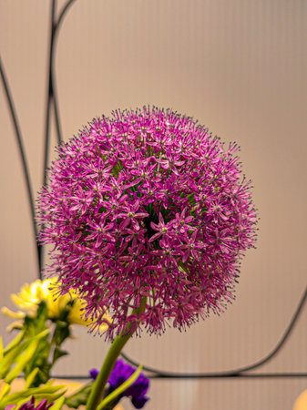Bouquet of flowers. Bouquet of mixed yellow, pink, peach and purple flowers