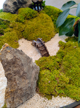 Mini country a tiny island with green trees on top of a lonely oasis, a mountain of sand. a tiny piece of nature, a miniature of a green gardenの写真素材