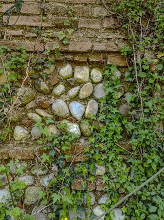 Crumbling Grunge Brick Wall with Ivy. A growing ivy on a grunge textured section of a crumbling urban brick wall.の写真素材
