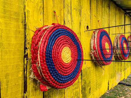 Target archery. Archery target with arrow in the bulls eye