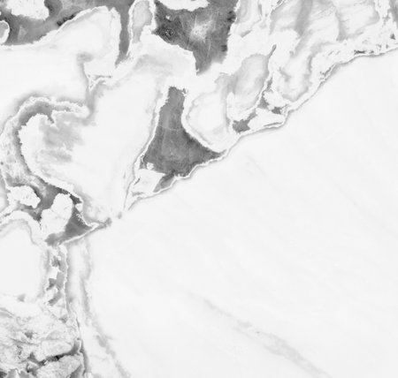 Elegant white marble background with subtle natural veins, ideal for luxury branding, minimalist design, architectural presentations, product mockups, and high-end visual compositions.の写真素材