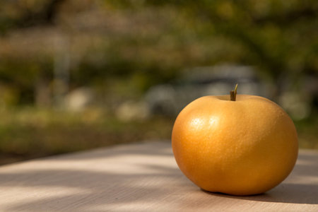 pearの写真素材