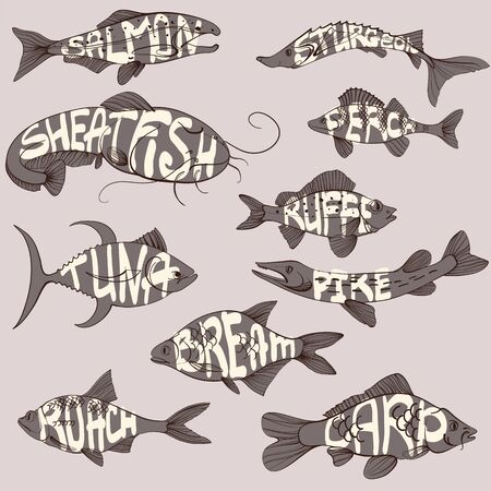 Fishing illustration, handdrawn lettering, carp, roach, perch, salmon, sturgeon, tuna, ruffe, sheatfish, pike, bream. Vectorのイラスト素材